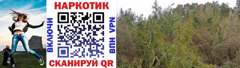 Купить наркотики цена Лаишево omg онион МЕФ ГАШИШ