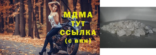 индика Арсеньев