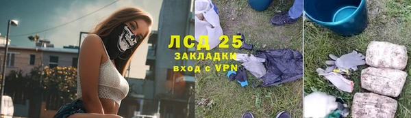 PSILOCYBIN Аркадак