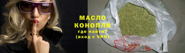 индика Арсеньев