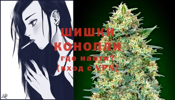 индика Арсеньев