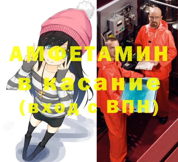 индика Арсеньев
