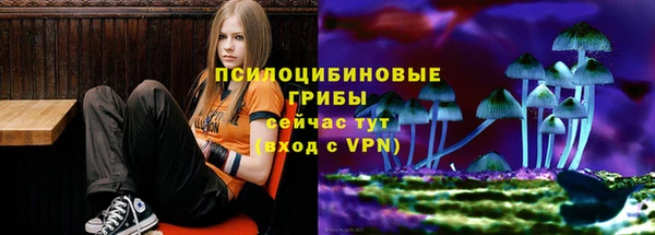 герыч Сосновый Бор
